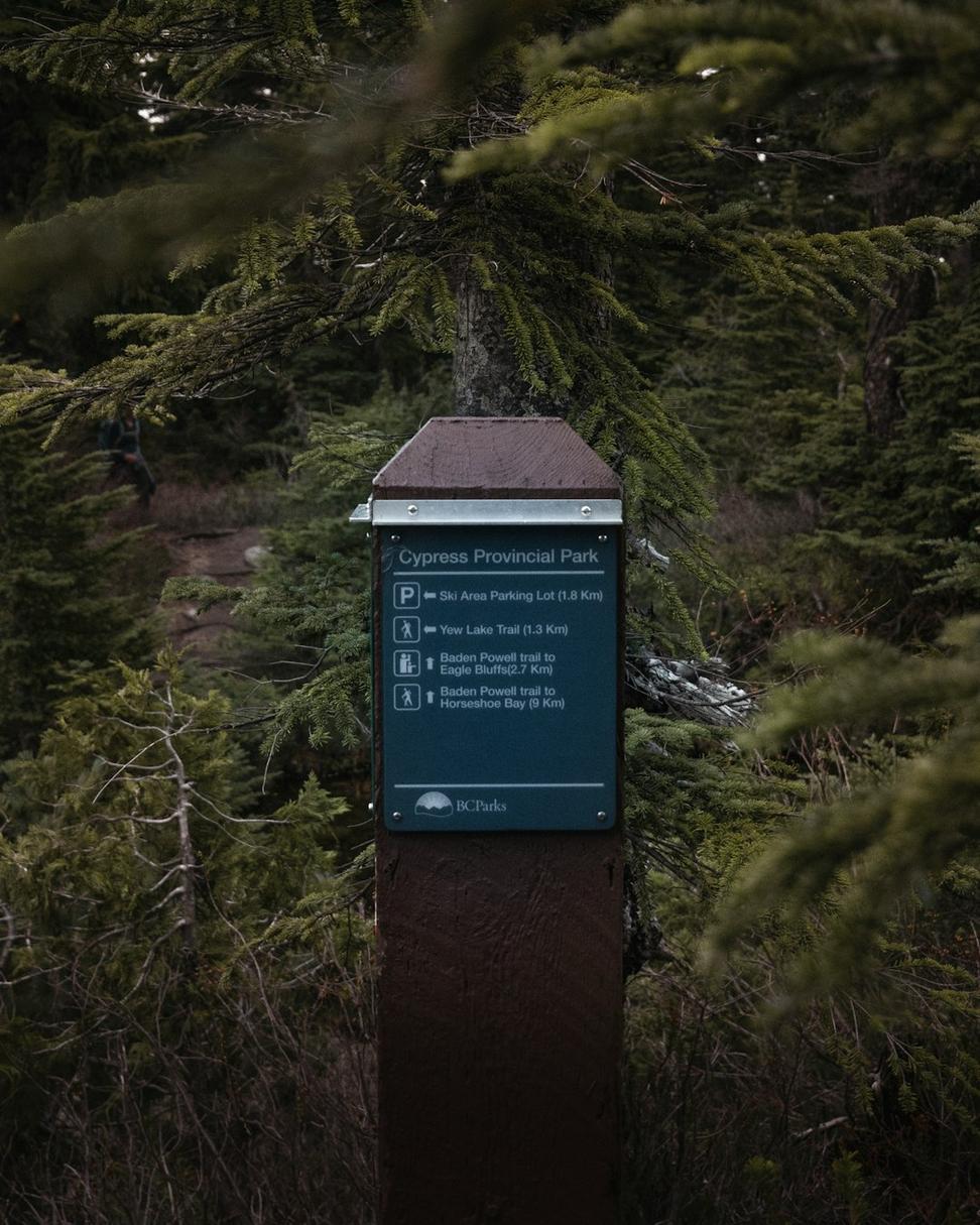 Privacy Policy